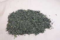 向春草（アマミシマアザミ）乾燥チップ / Cirsium brevicaule A.   Gray